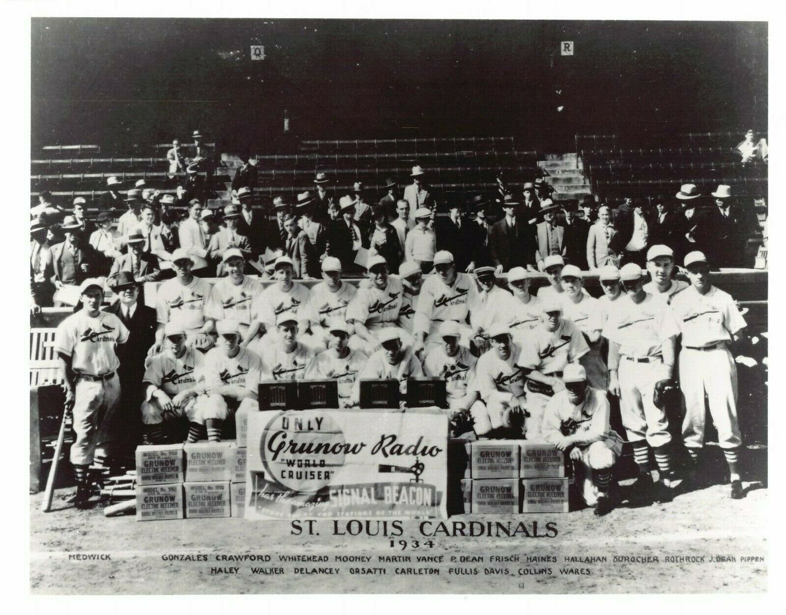 1934 World Champion St. Louis Cardinals  8x10 Team Photo